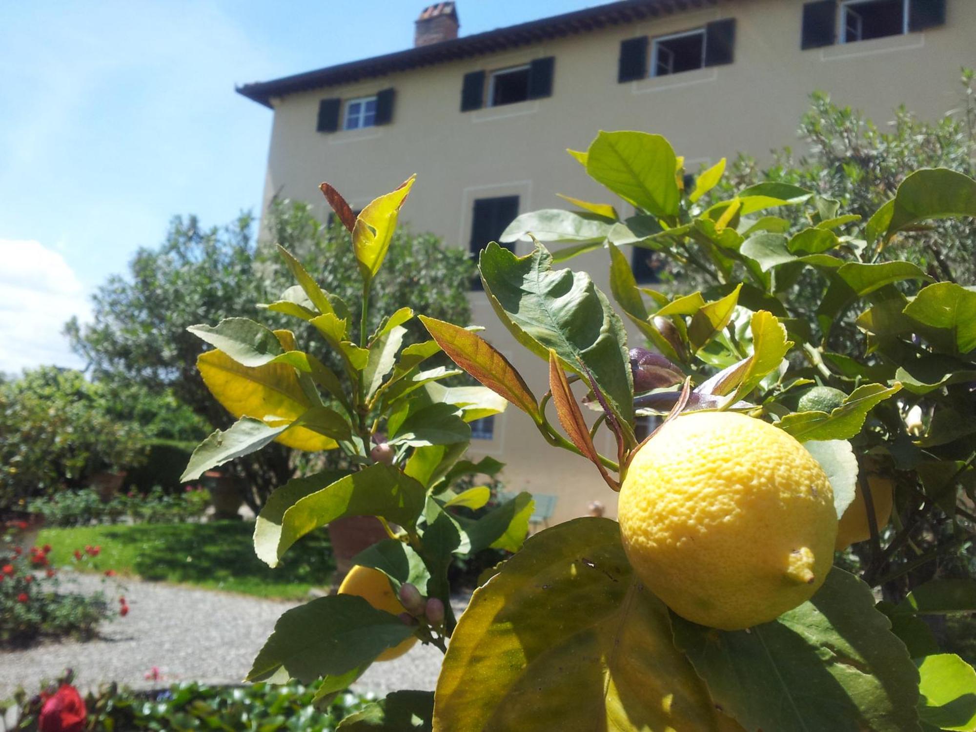 Fattoria Gambaro Di Petrognano Villa Collodi Exterior foto
