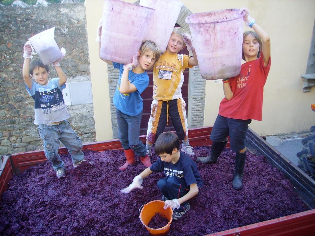 Fattoria Gambaro Di Petrognano Villa Collodi Exterior foto